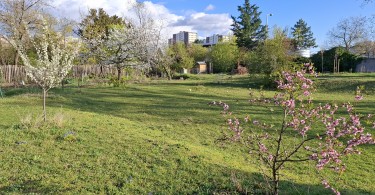 18_lesjardinsdestmarc